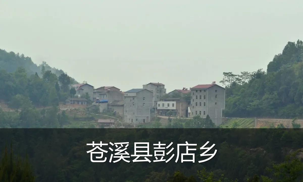 苍溪县彭店乡