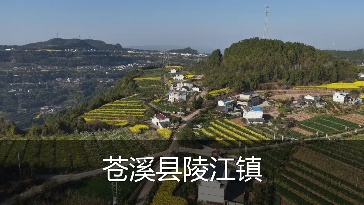 苍溪县陵江镇