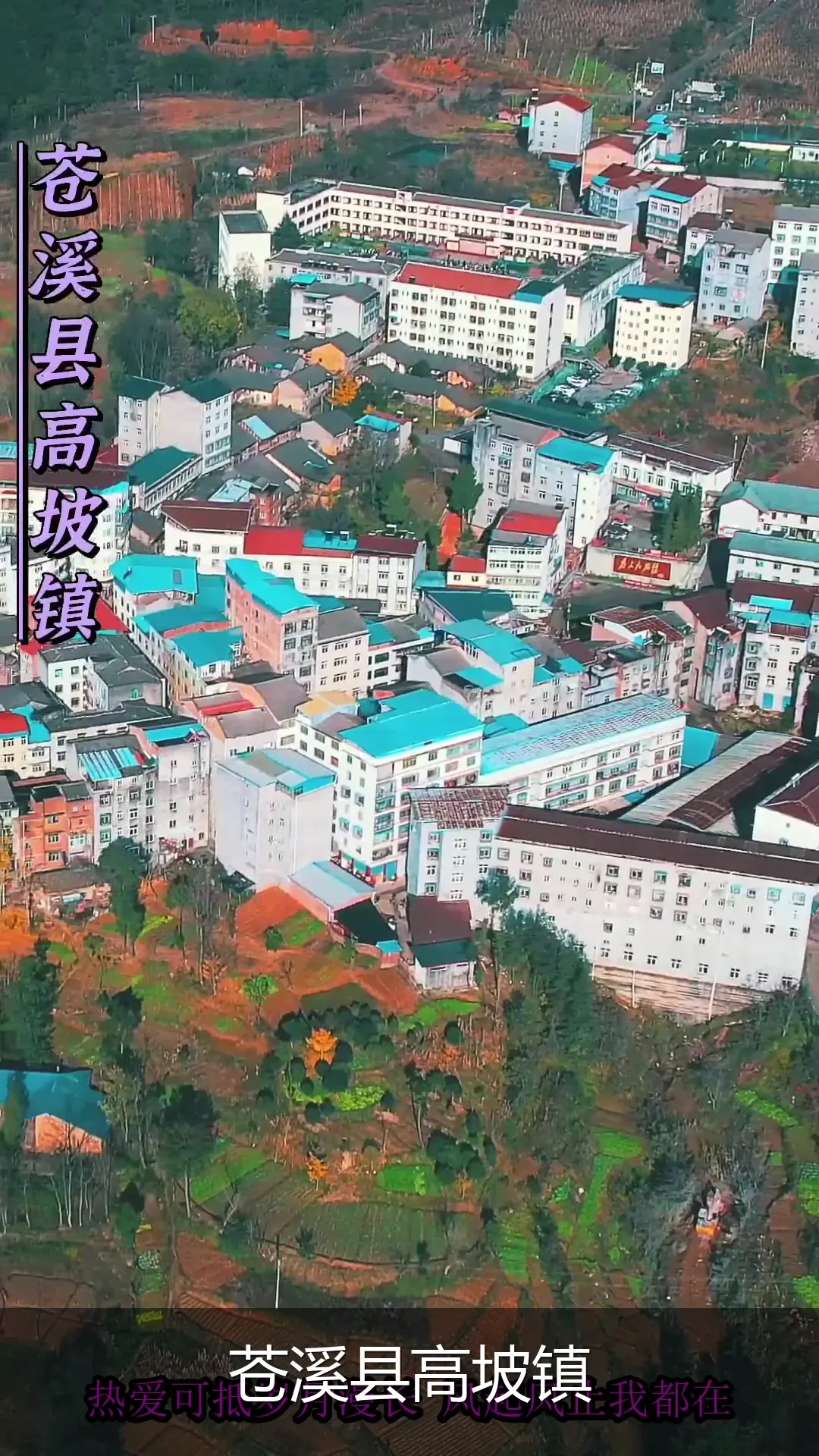 苍溪县高坡镇