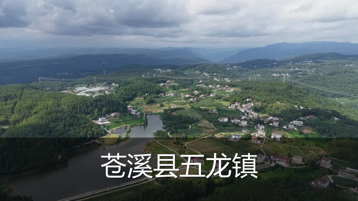 苍溪县五龙镇