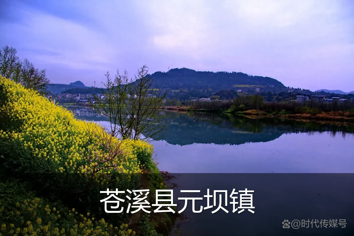 苍溪县元坝镇