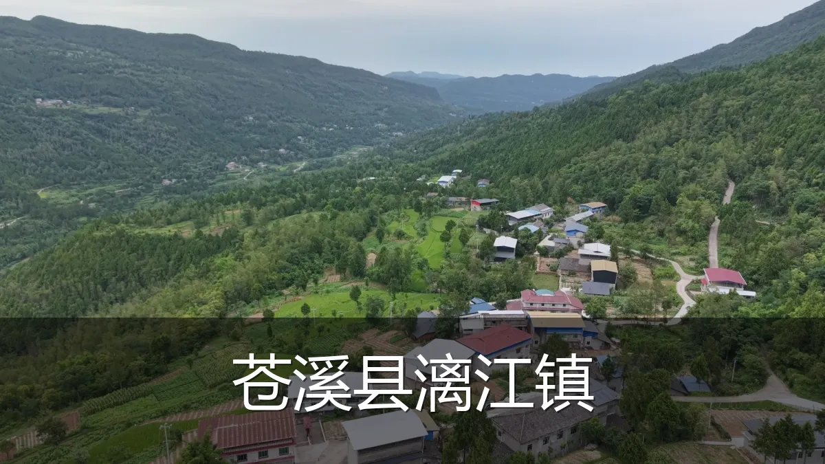 苍溪县漓江镇